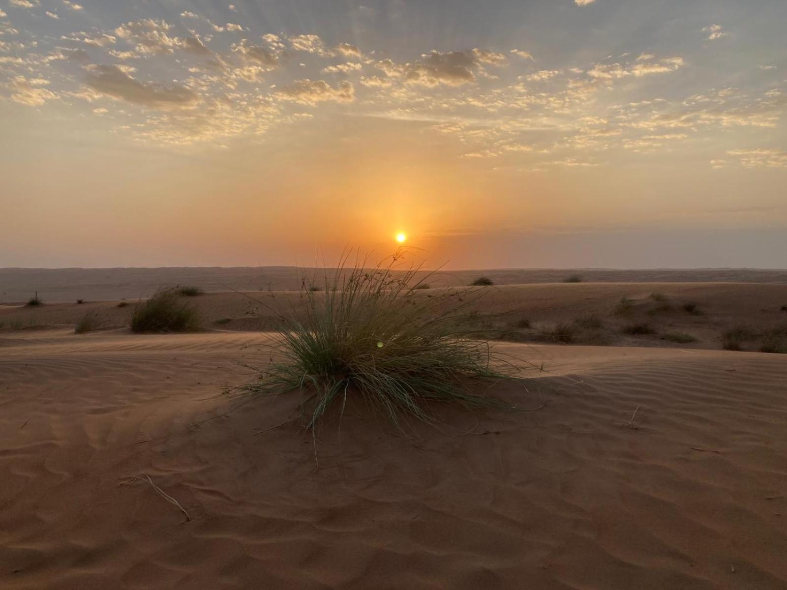 Desert Moments Camp 알 와실 외부 사진